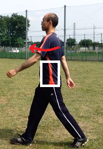 歩き　メカニズム