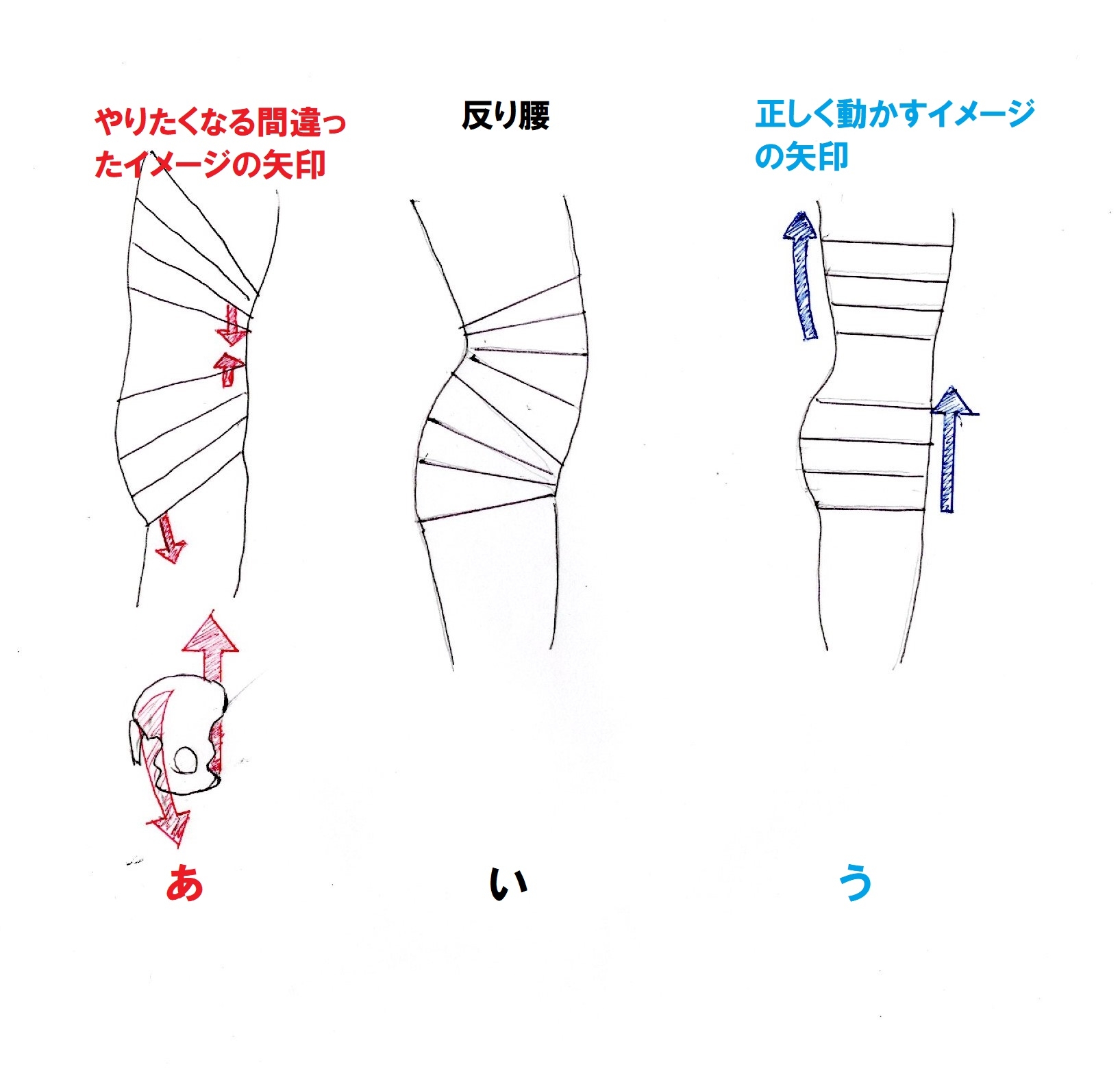 お腹を引っ込める