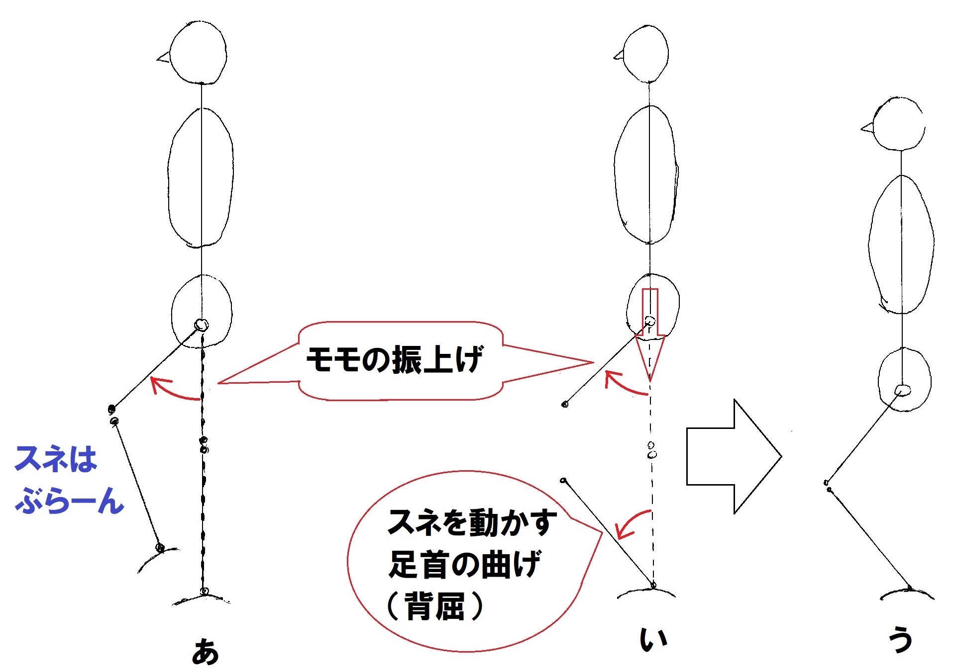 スクワットの元