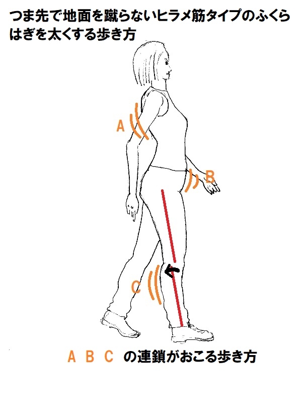 ヒラメ筋が太くなる歩き方