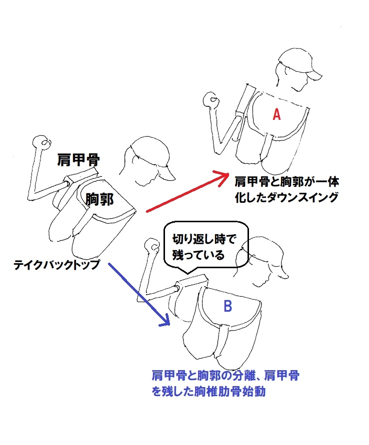 肩甲骨と胸郭の分離有り無し