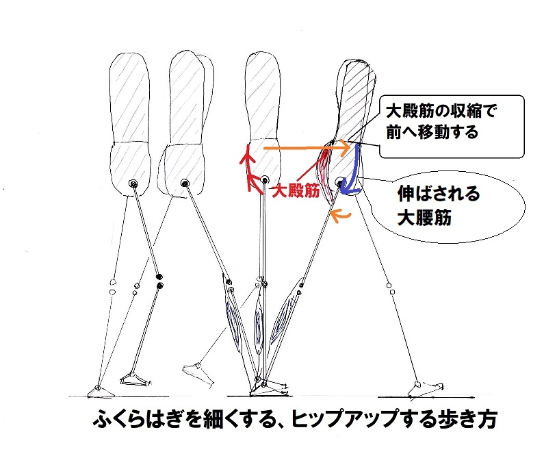 ふくらはぎを細くする歩き方